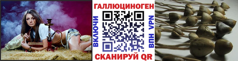 Псилоцибиновые грибы GOLDEN TEACHER  OMG маркетплейс  Сургут 